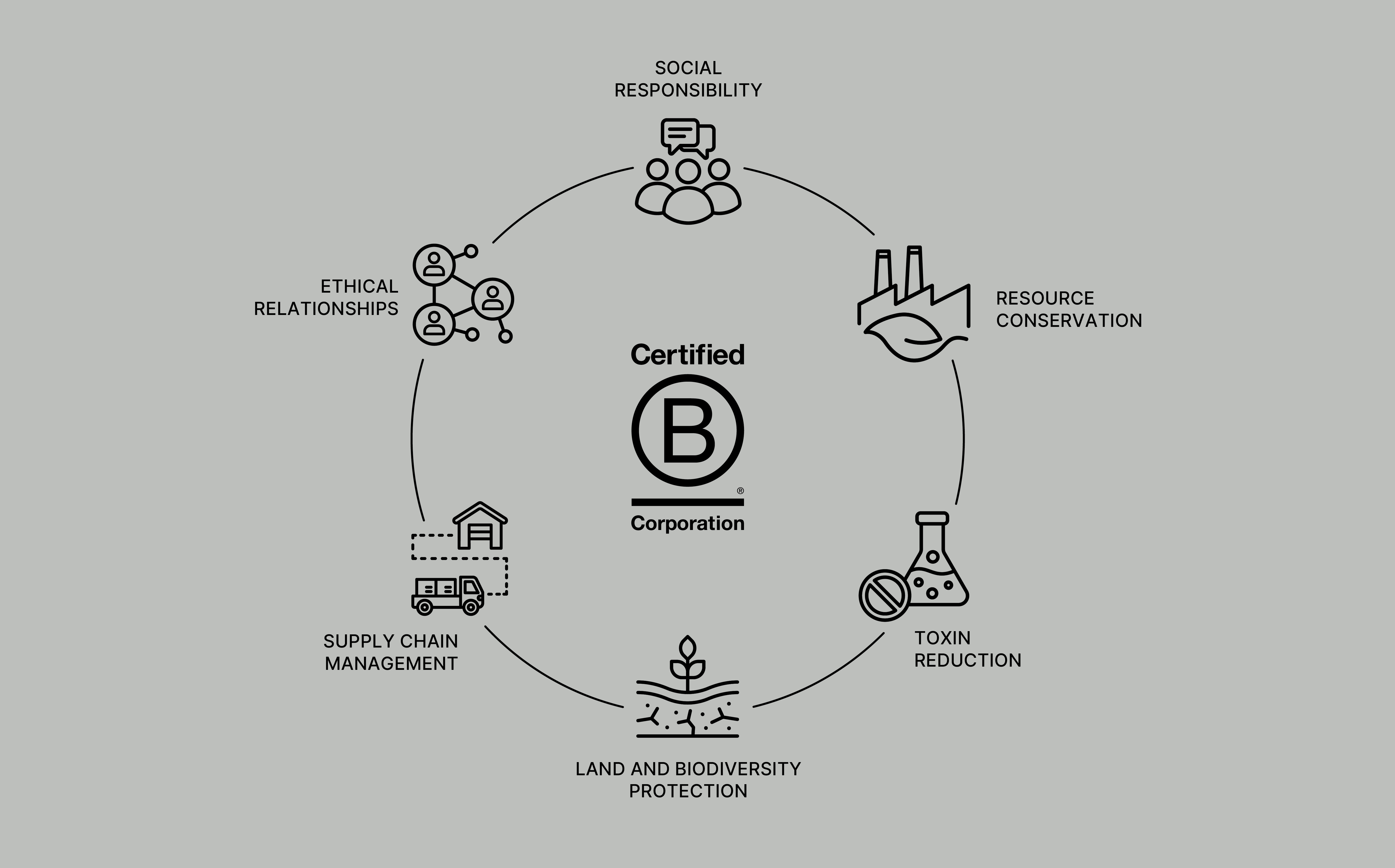 2506-bc-blog-bcorpimpact12-1752669616