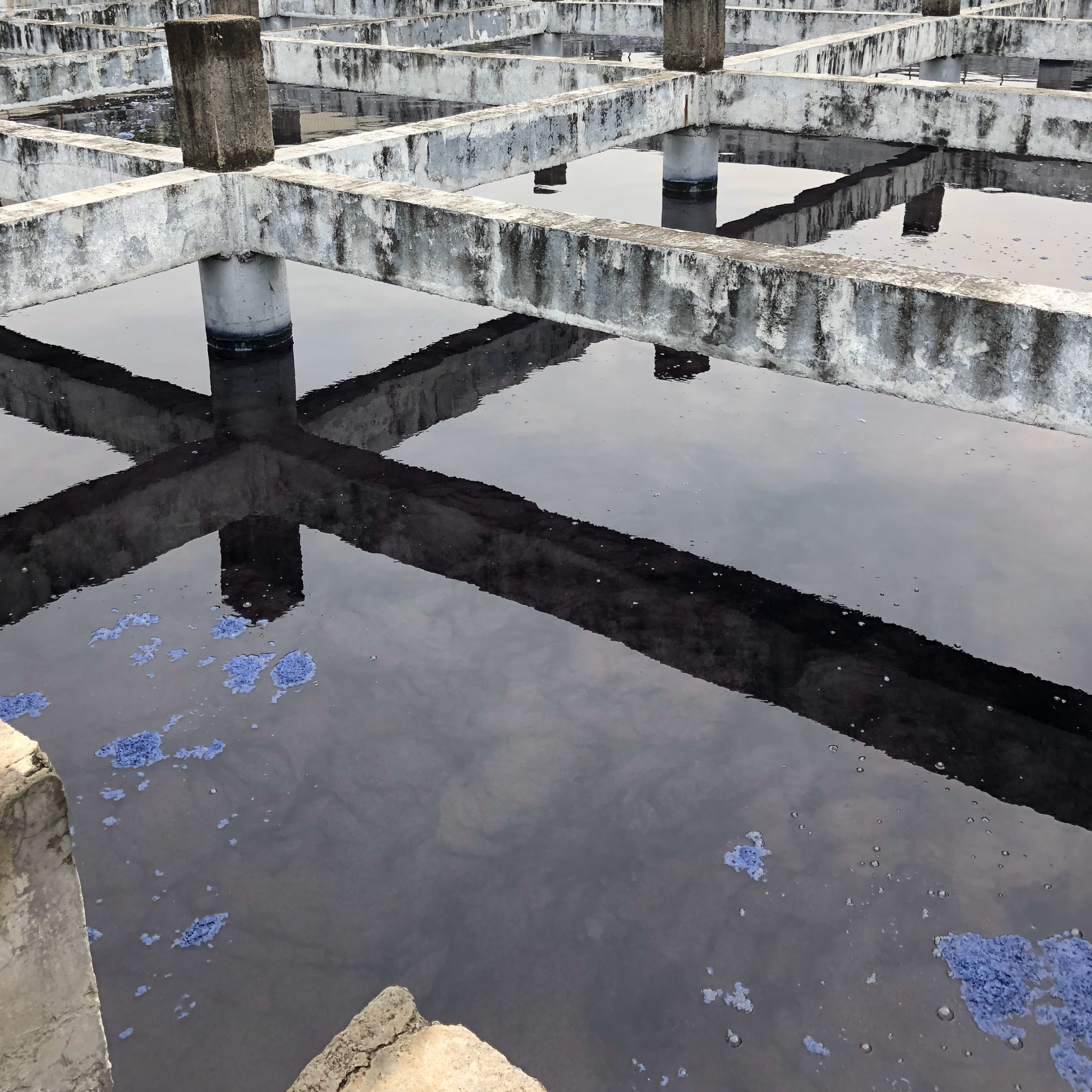 2509-bc-blog-new-layout-pfas-free2