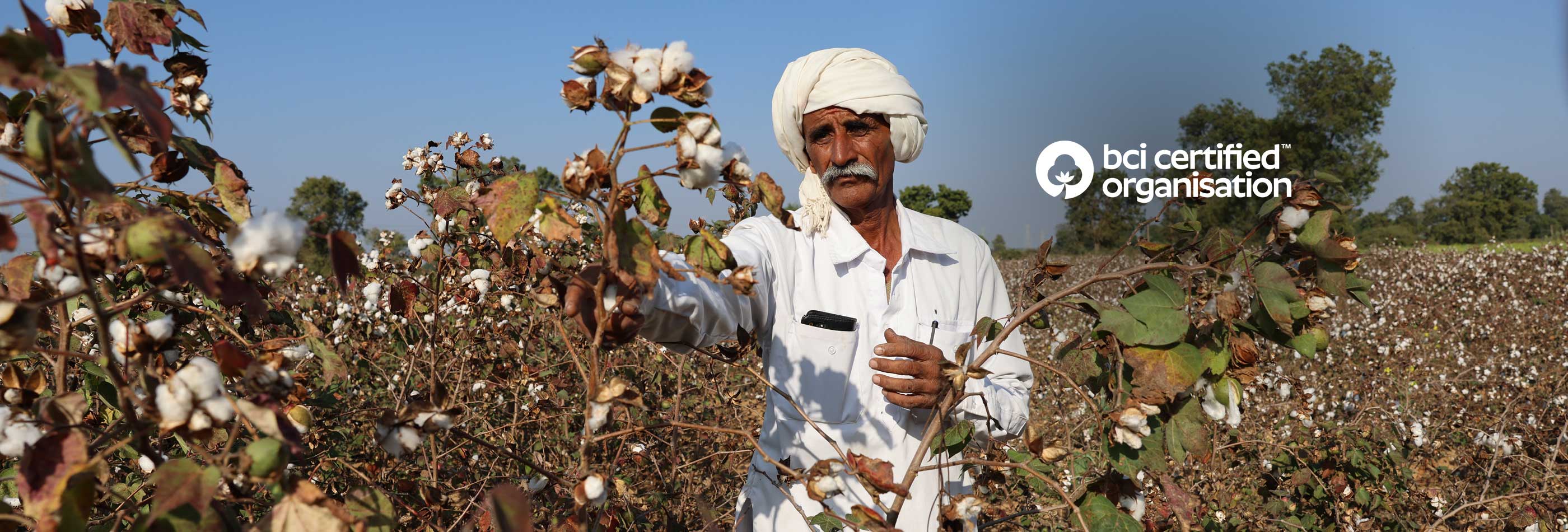 2511-bc-blog-new-layout-physicalbettercotton-1764242896