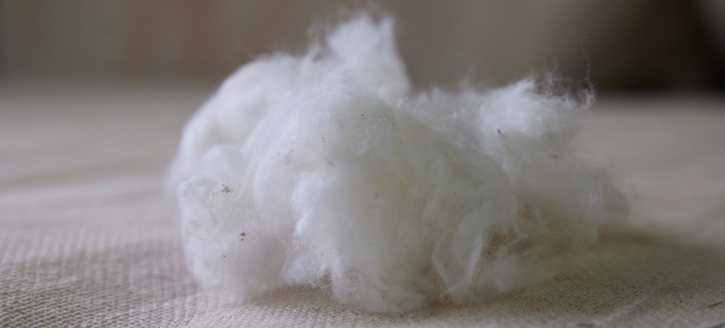 2511-bc-blog-new-layout-physicalbettercotton2