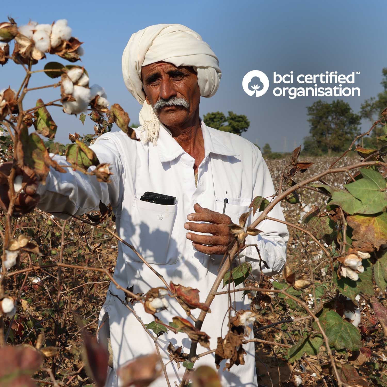 B&C is officially BCI certified. Our cotton journey reaches a new milestone.
