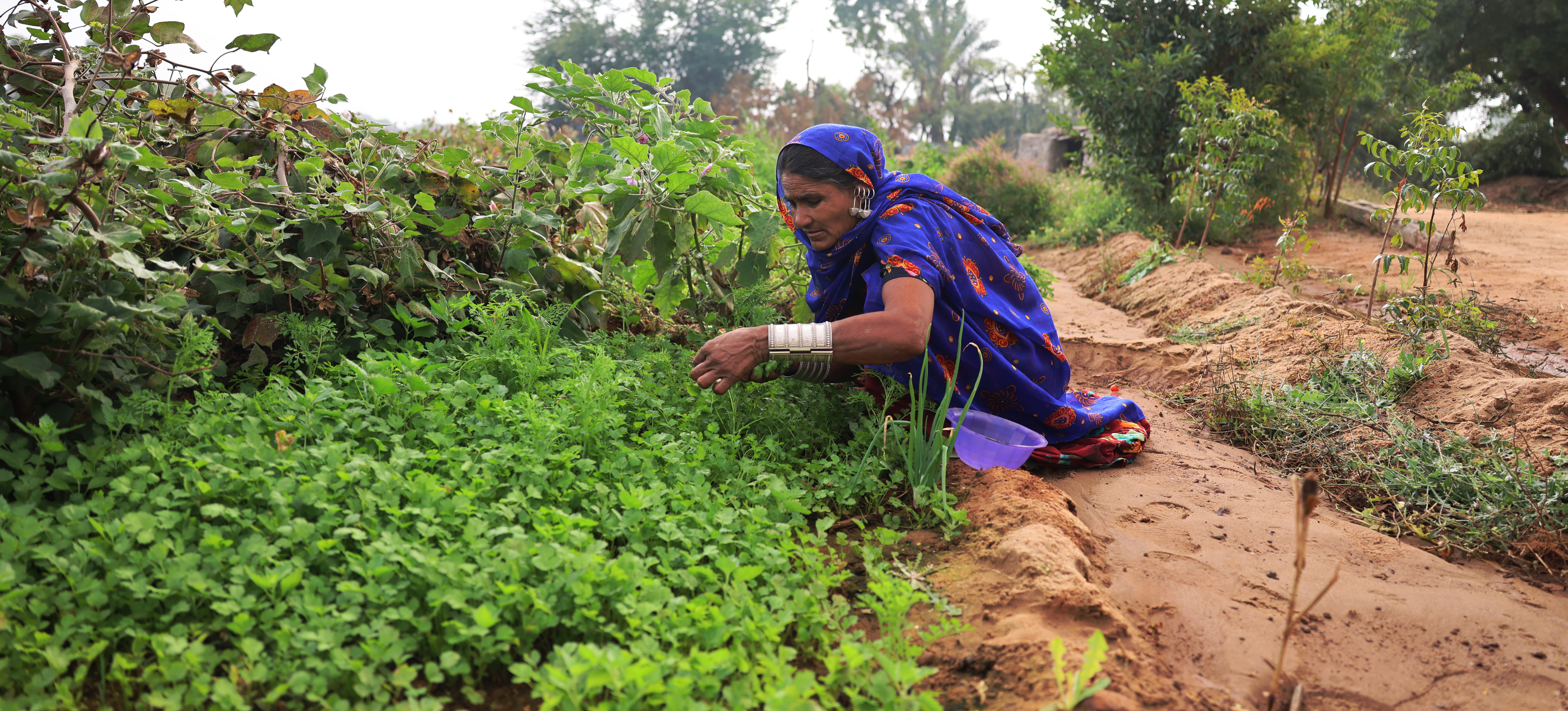 2601-bc-organicinconversioncotton-banner-2-1769530146