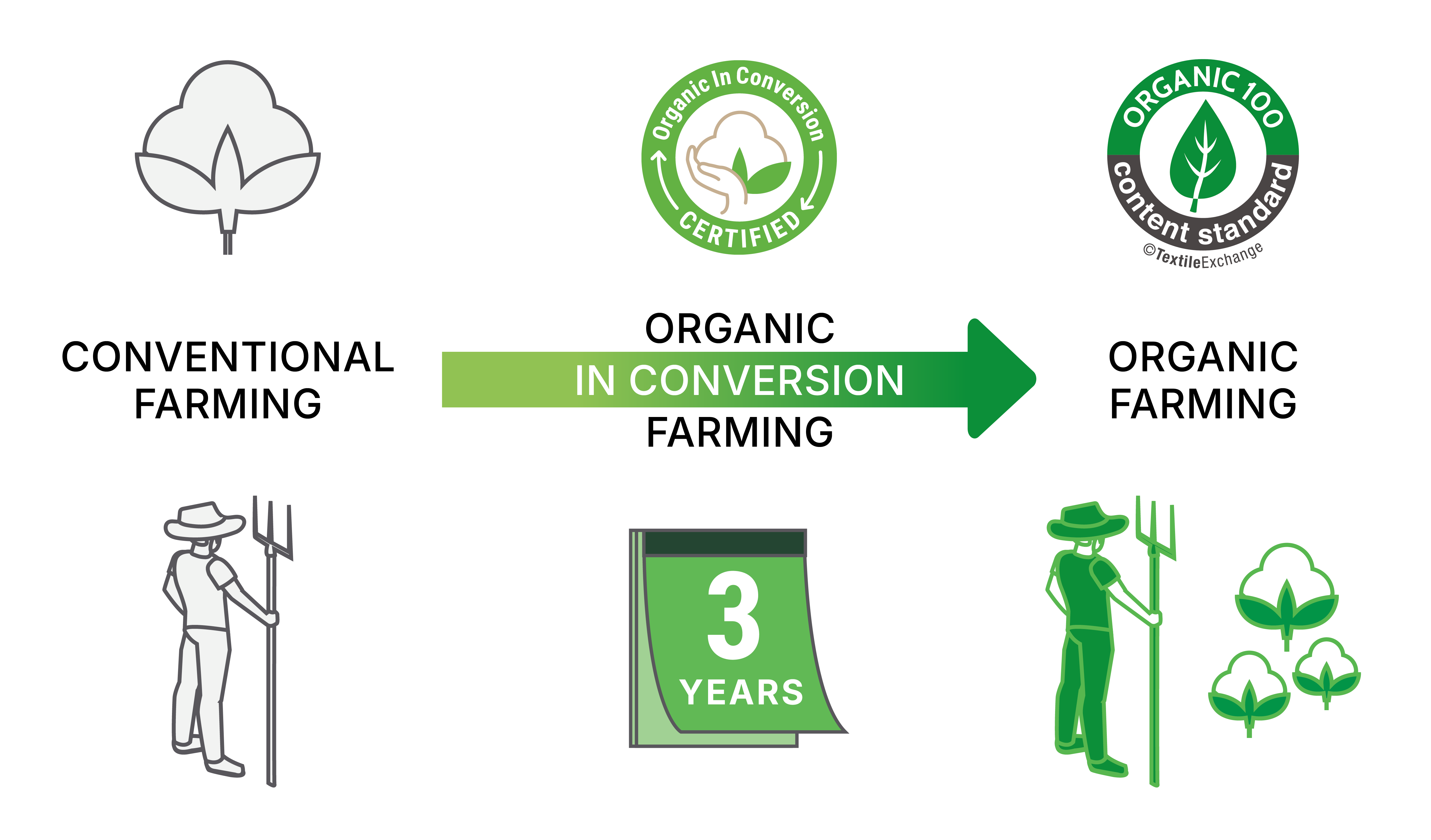 2601-bc-organicinconversioncotton3