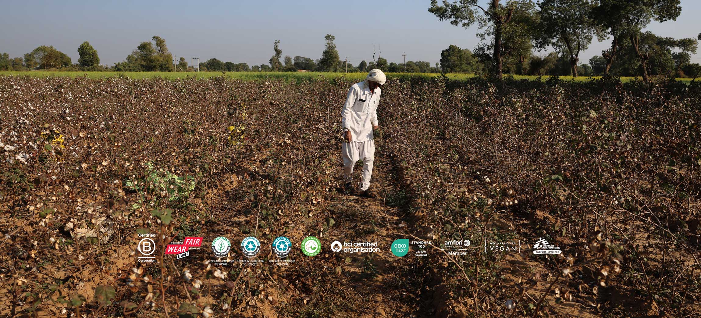 2601-bc-sustainability-header