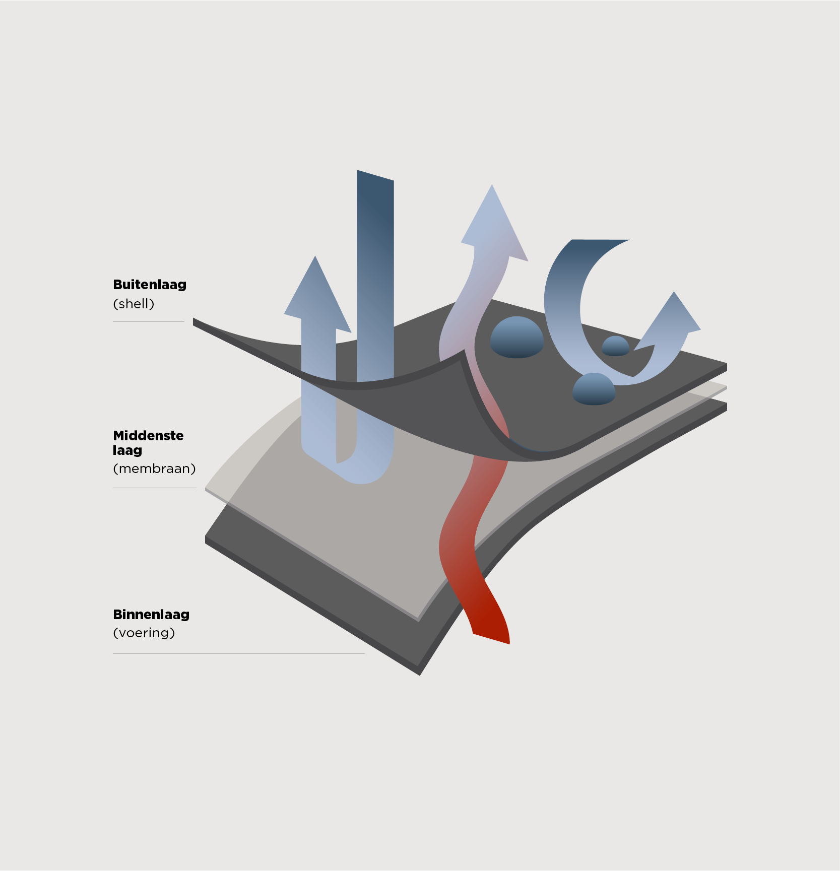 bc-resetouterwear-images-schema-nl-1760008128